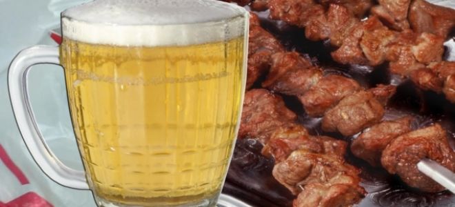 Лучшие рецепты маринадов с пивом для свиного, говяжьего и куриного шашлыка