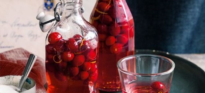 Самогонная настойка на красной рябине&nbsp;— полезно и вкусно