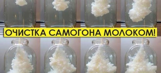 Как очистить самогон молоком в домашних условиях&nbsp;— польза и вред такого метода