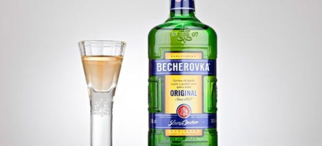 Особенности ликера Бехеровка и рецепты приготовления коктейлей на его основе