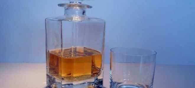 Стоит ли употреблять алкоголь при гастрите и какие виды спиртного можно пить при этой болезни?