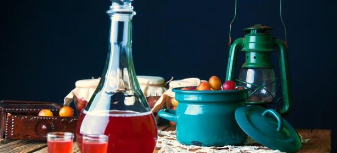 Вкуснейшие и простые рецепты приготовления наливки из варенья в домашних условиях